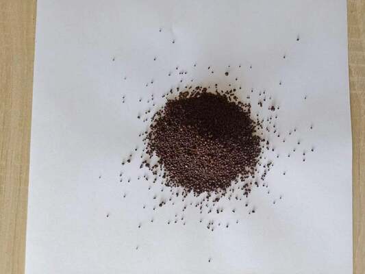 Slow-Release Potassium Fulvate Granules – Long-Lasting Soil Activation with Zero Waste
