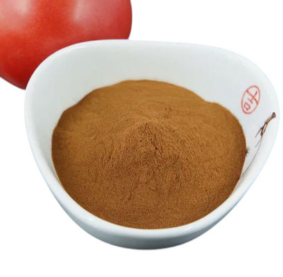 Biochemical Potassium Fulvate Powder from Molasses, Organic Soil Conditioner for Sustainable Agriculture